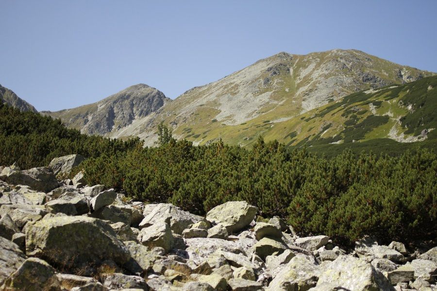 Spálená - 2083 m.n.m.