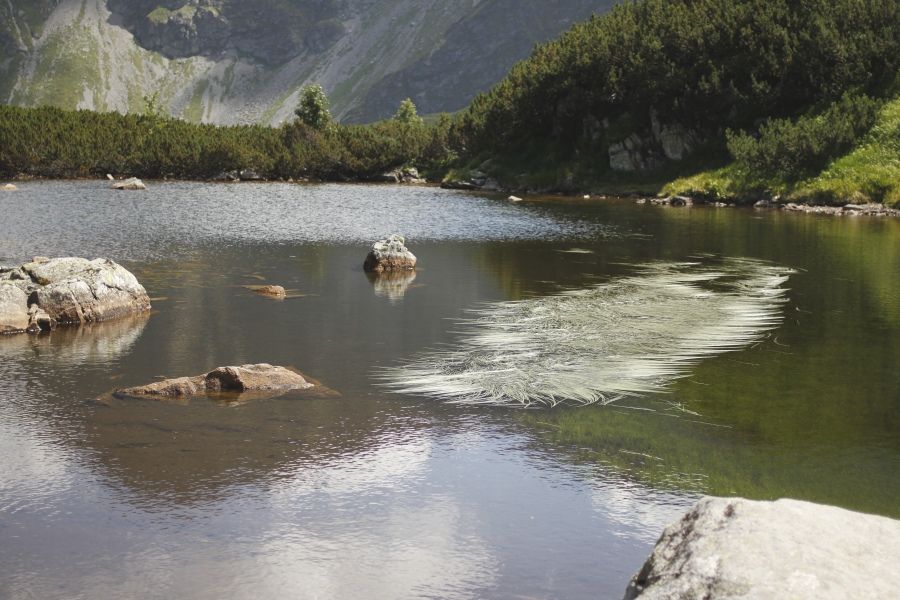 stredné Roháčske pleso