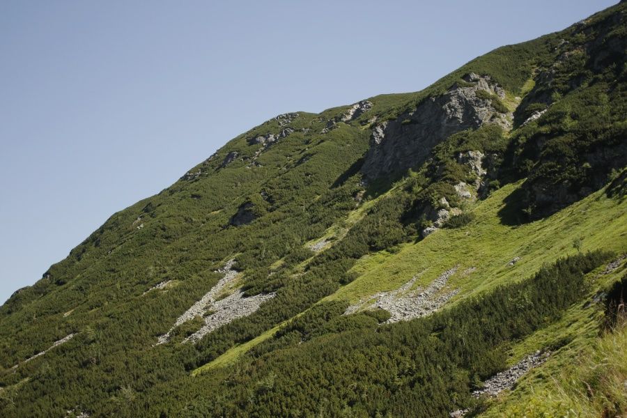 cestou na Roháčske plesá