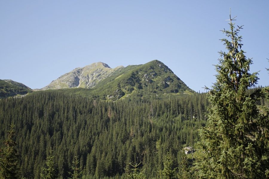 Spálená - 2083 m.n.m.