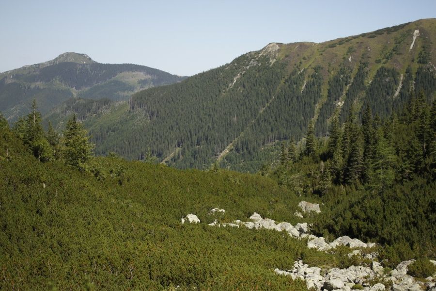 Predná Zábrať - 1577 m.n.m.
