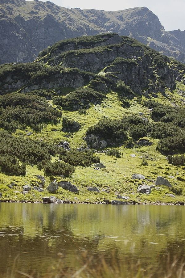 Roháčske pleso