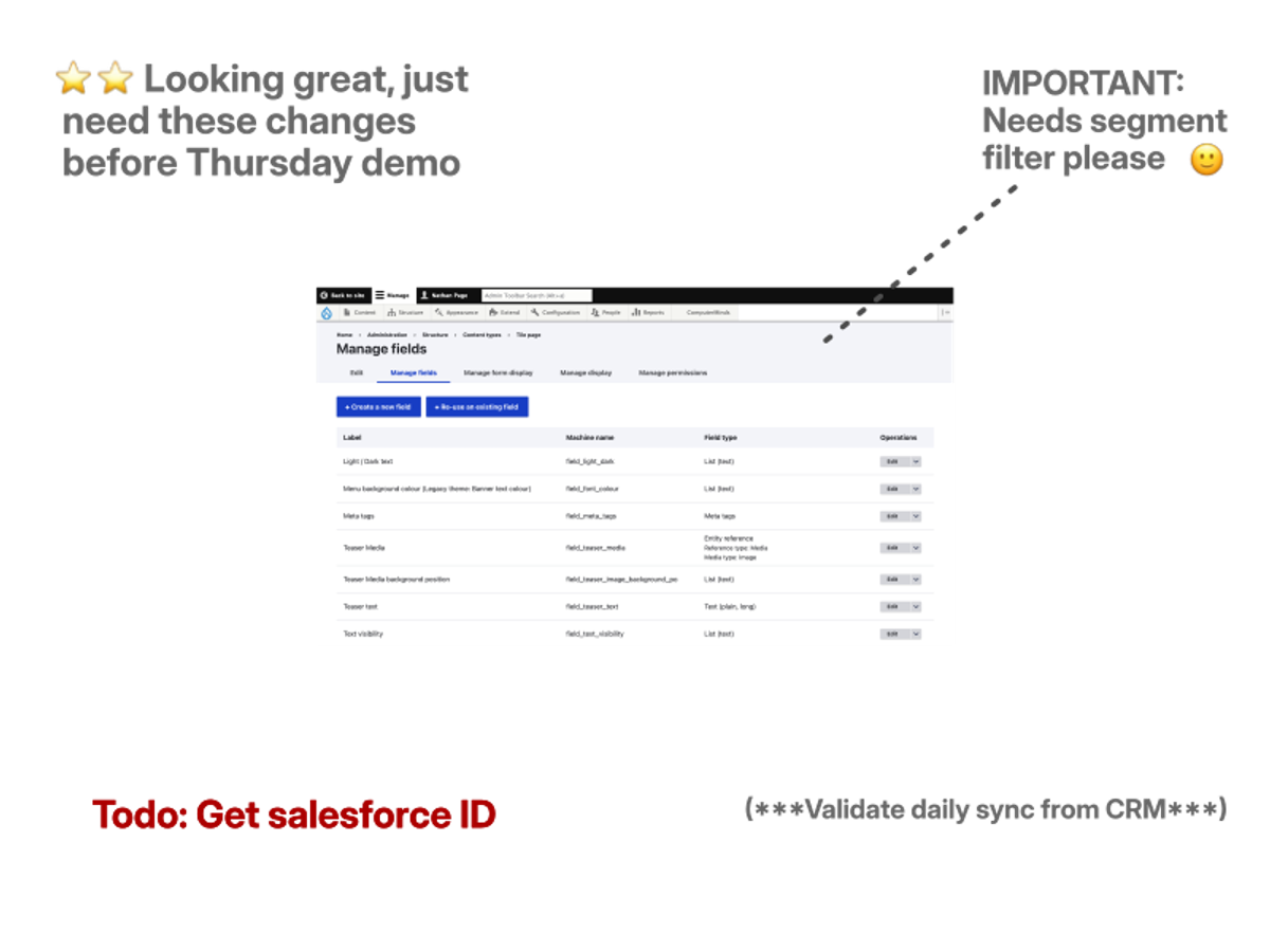 An example annotated screenshot with comments and requests