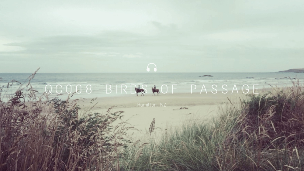 Quiet Cast 008: Birds of Passage