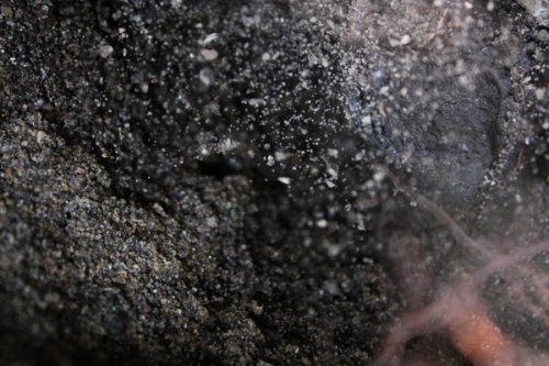 Abstract imagery of dirt in motion 