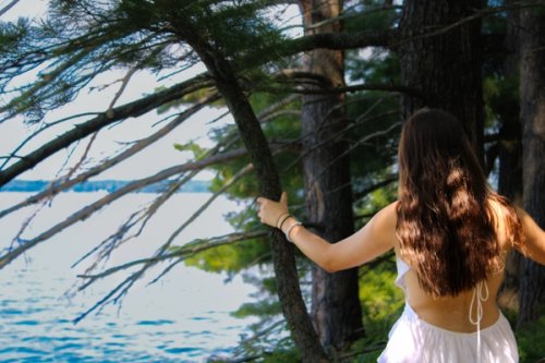 Girl sitting in tree looking at water