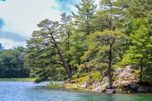 A view of the narrows by boat