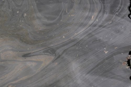 Oil in the river