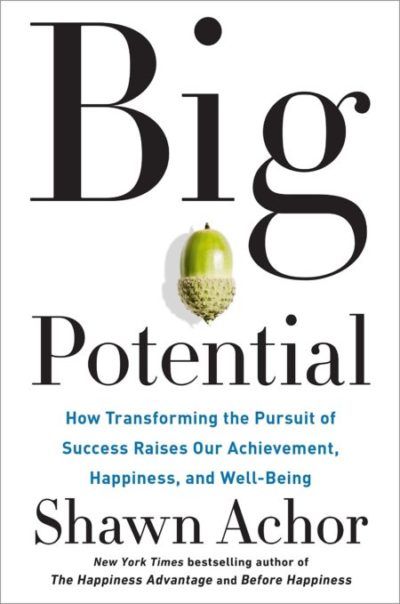 Cover of Big Potential by Shawn Achor