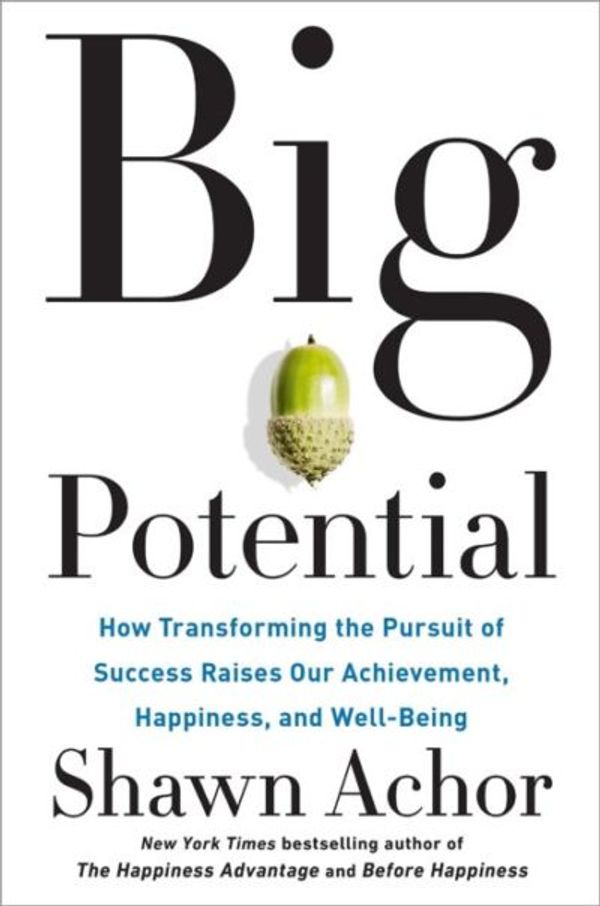 Cover of Big Potential by Shawn Achor