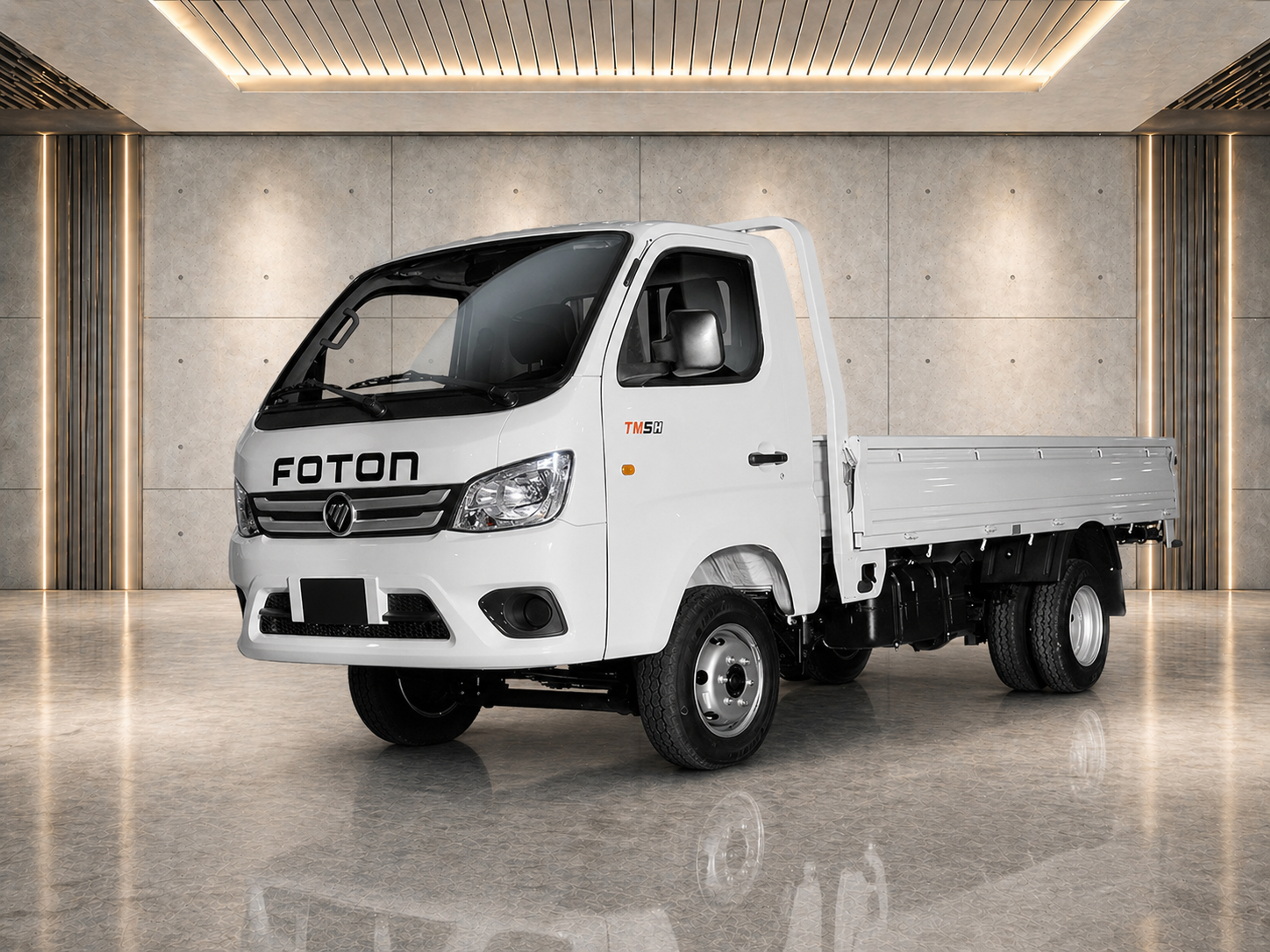FOTON Truck Mate 5 (Dropside)