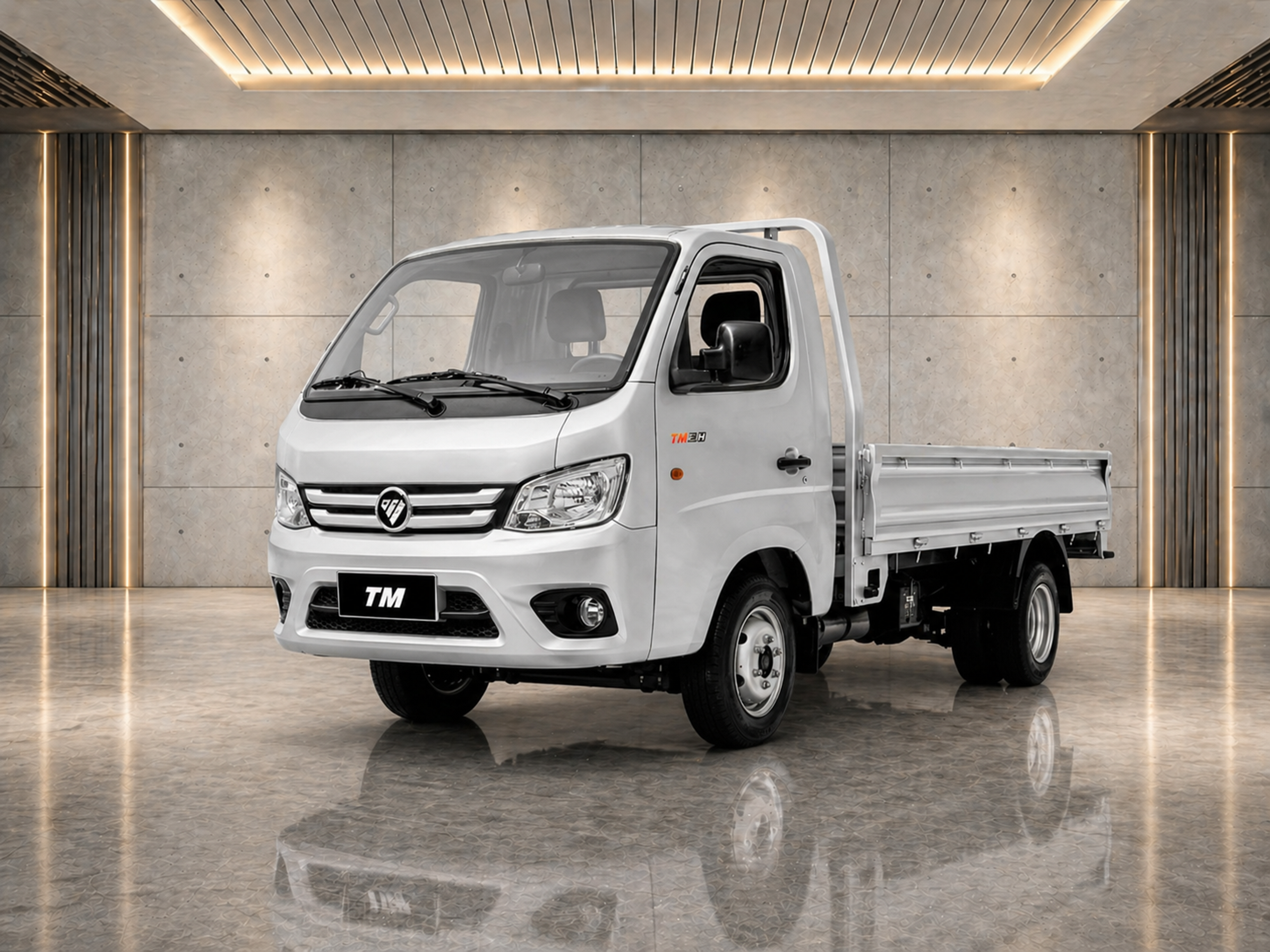 FOTON Truck Mate 3 (Dropside)