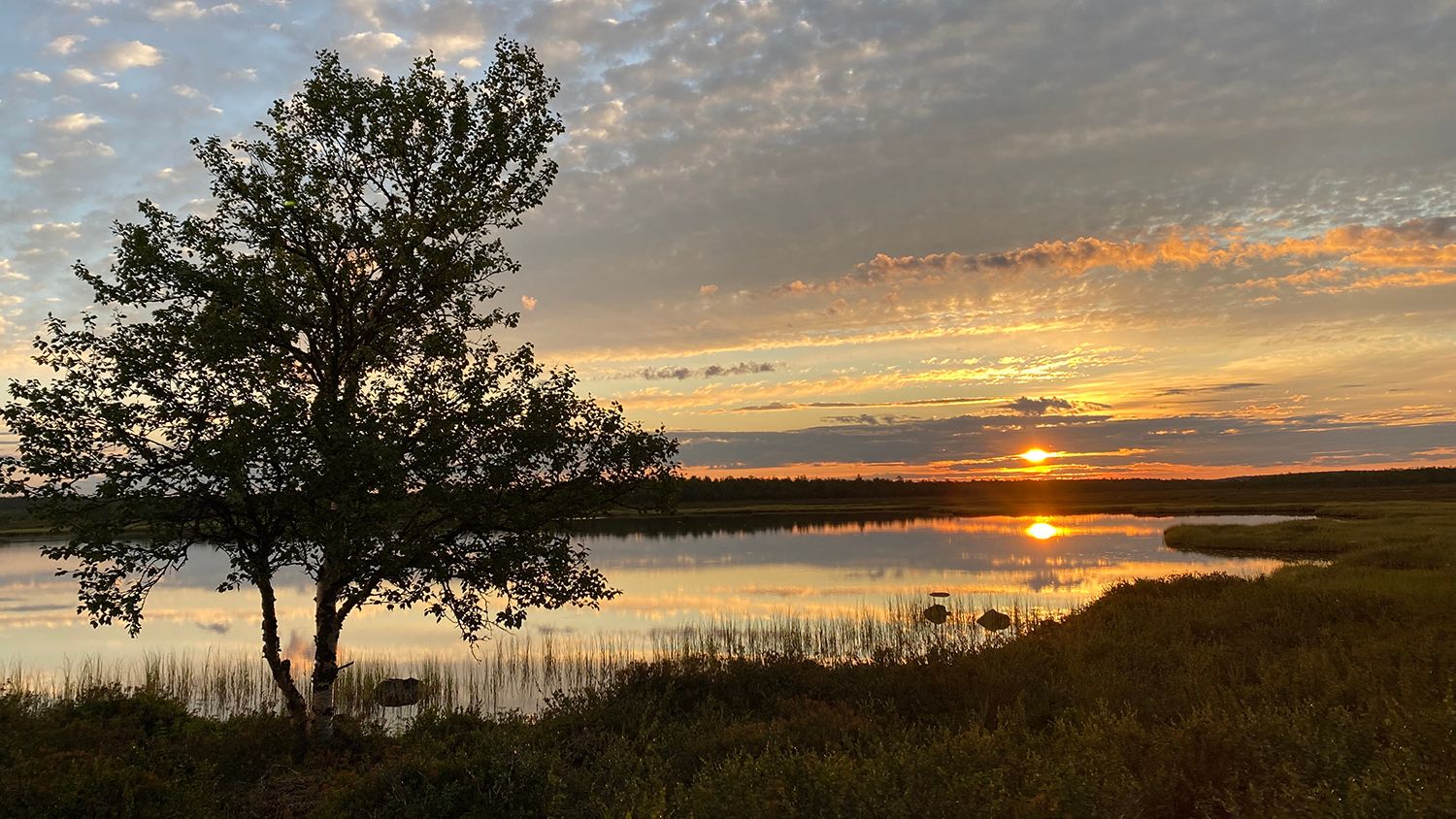 Vi i NOF ønsker våre medlemmer, samarbeidspartnere og ansatte en riktig god sommer! Foto: Torgrim Halvari