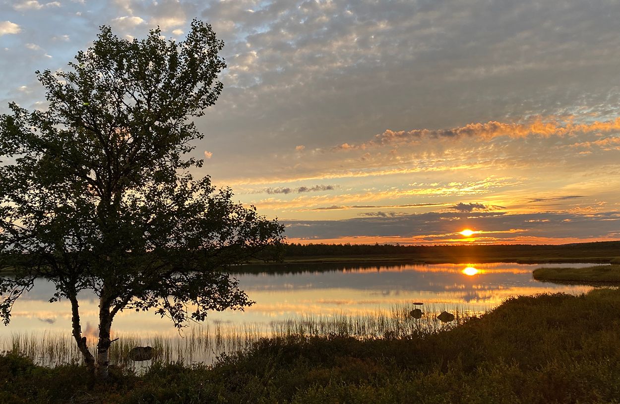 Vi i NOF ønsker våre medlemmer, samarbeidspartnere og ansatte en riktig god sommer! Foto: Torgrim Halvari