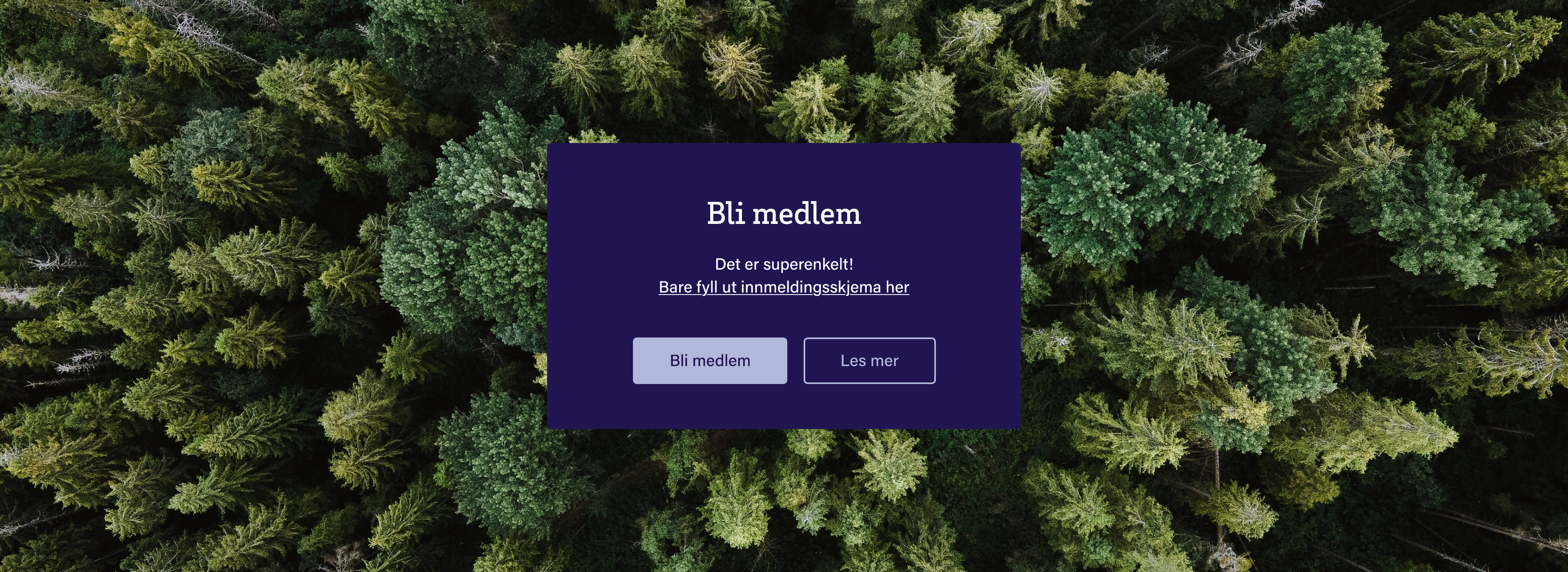 Bannerbilde