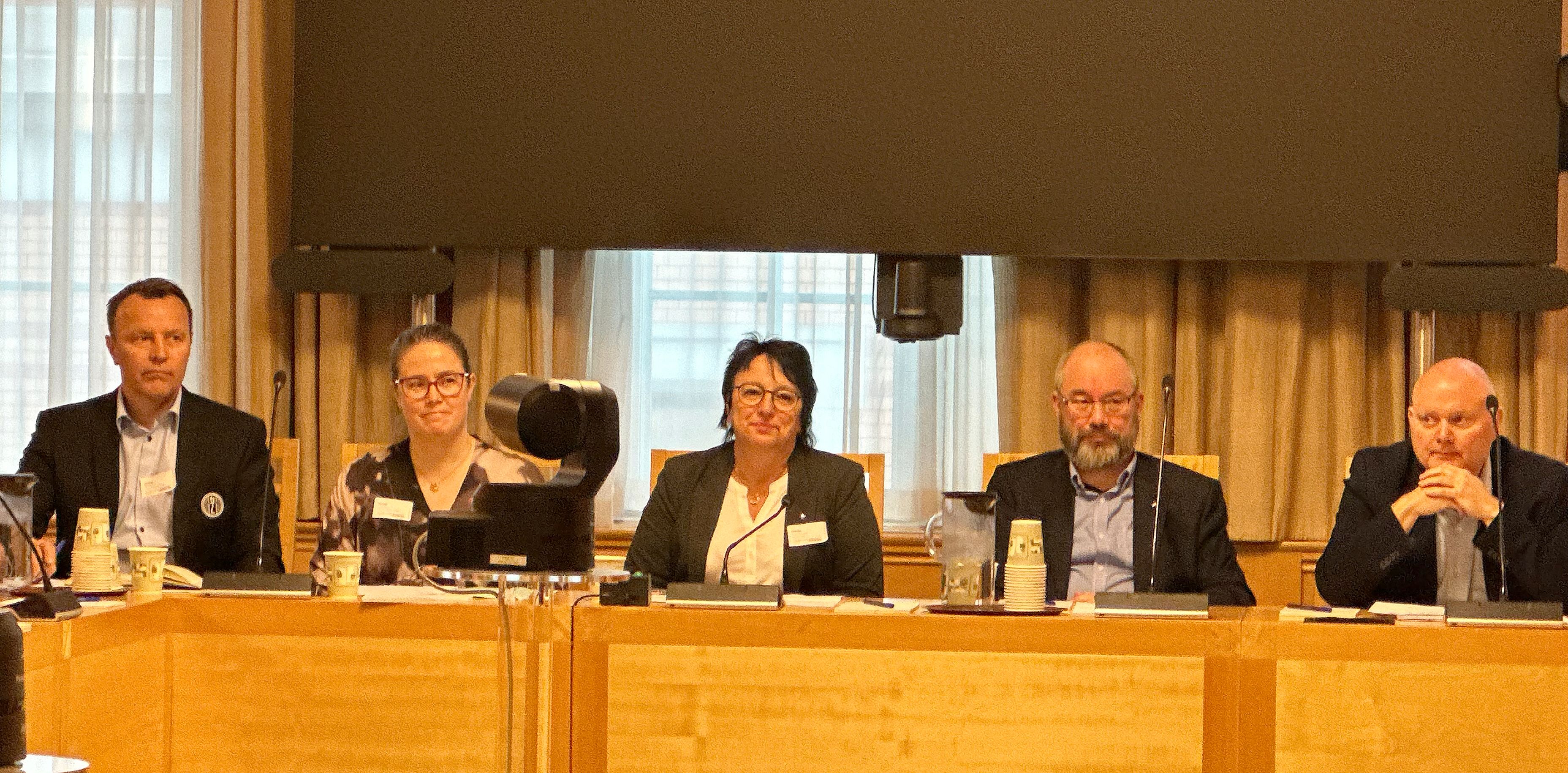 stortingshøring om forsvarsbudsjettet