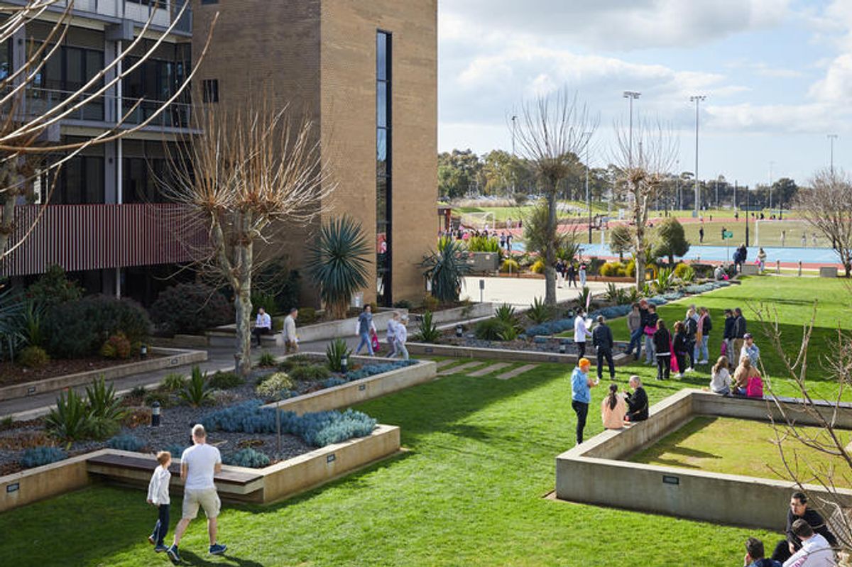 How Education Consultancies Simplify Studying Abroad
