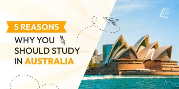 Reasons Why You Should Study in Australia