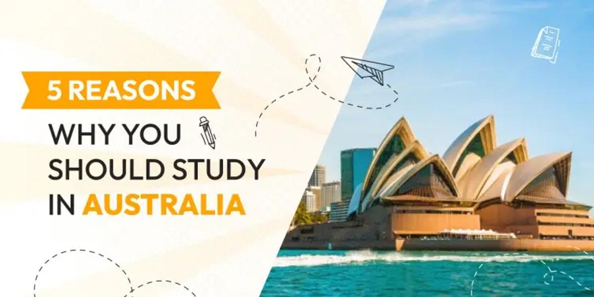 Reasons Why You Should Study in Australia