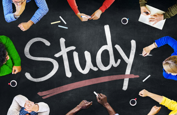 How to Effectively Study in Groups?