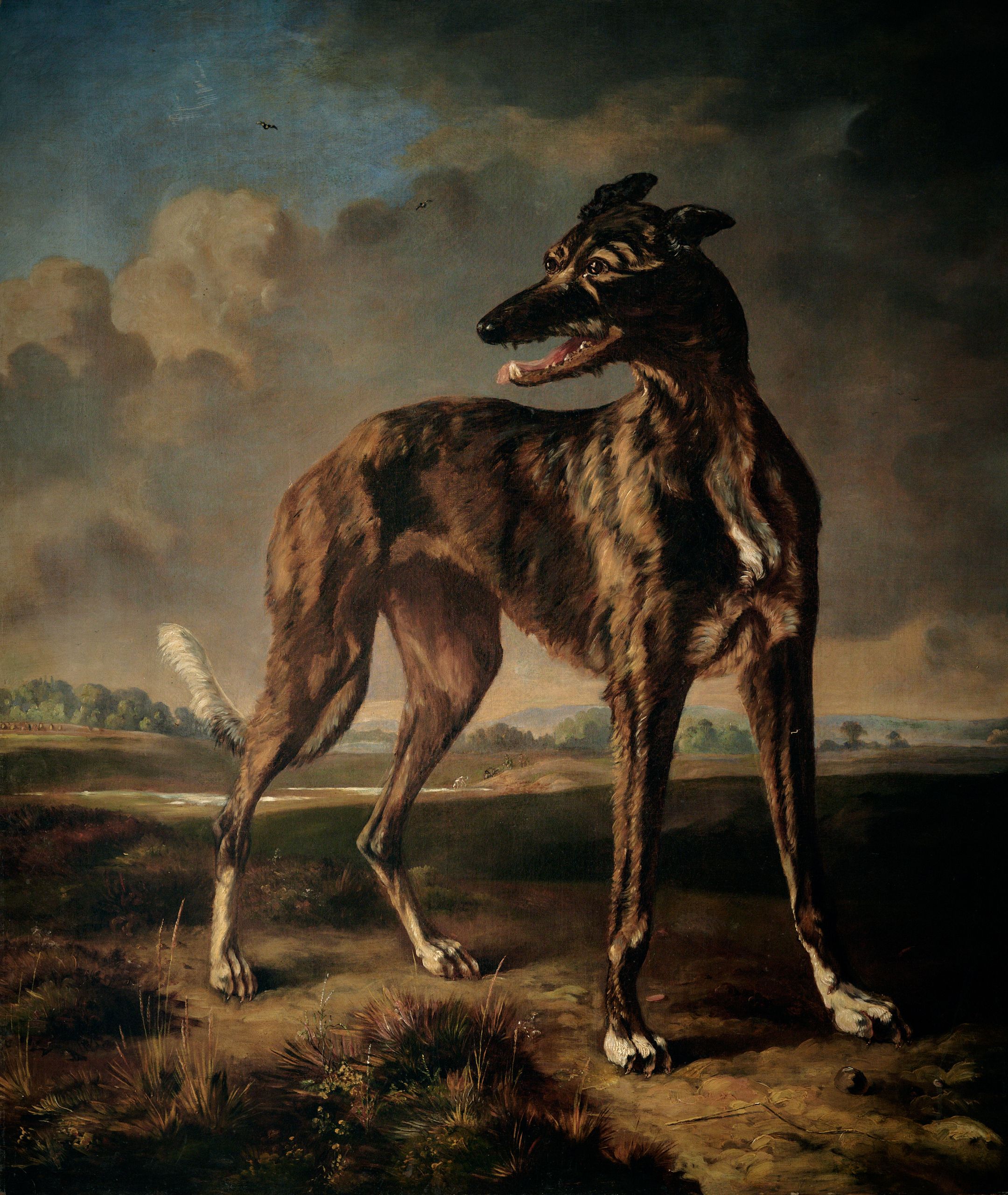 A Greyhound in Landscape Oil on Canvas, by Pieter Frederick Van Os