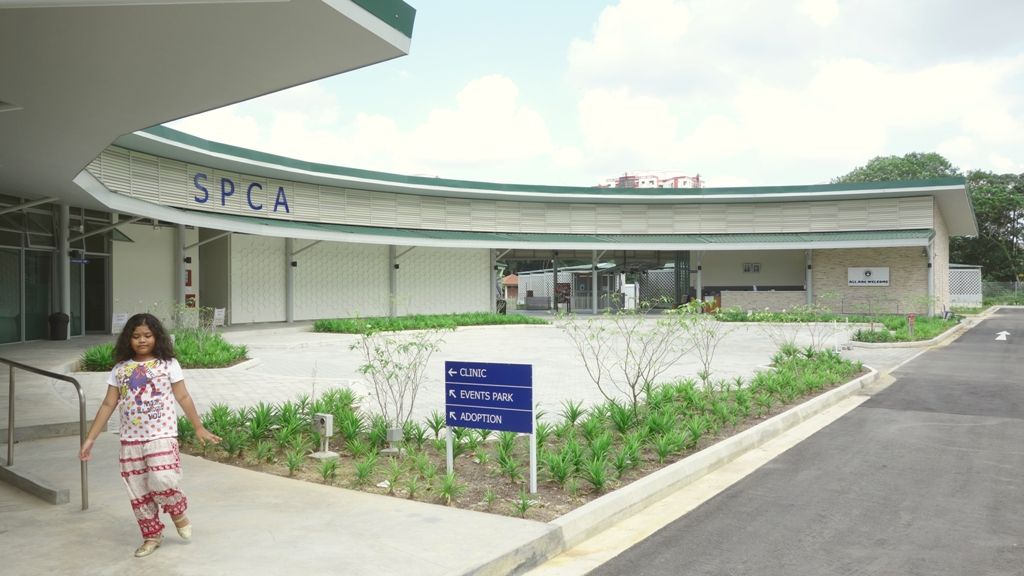 SPCA Animal Shelter and Office Facility by RichardHO Architects