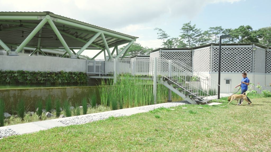 SPCA Animal Shelter and Office Facility by RichardHO Architects