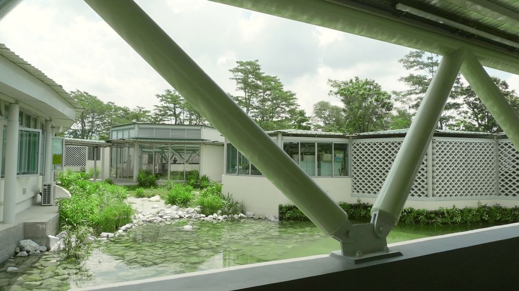 SPCA Animal Shelter and Office Facility by RichardHO Architects