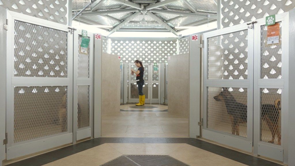 SPCA Animal Shelter and Office Facility by RichardHO Architects
