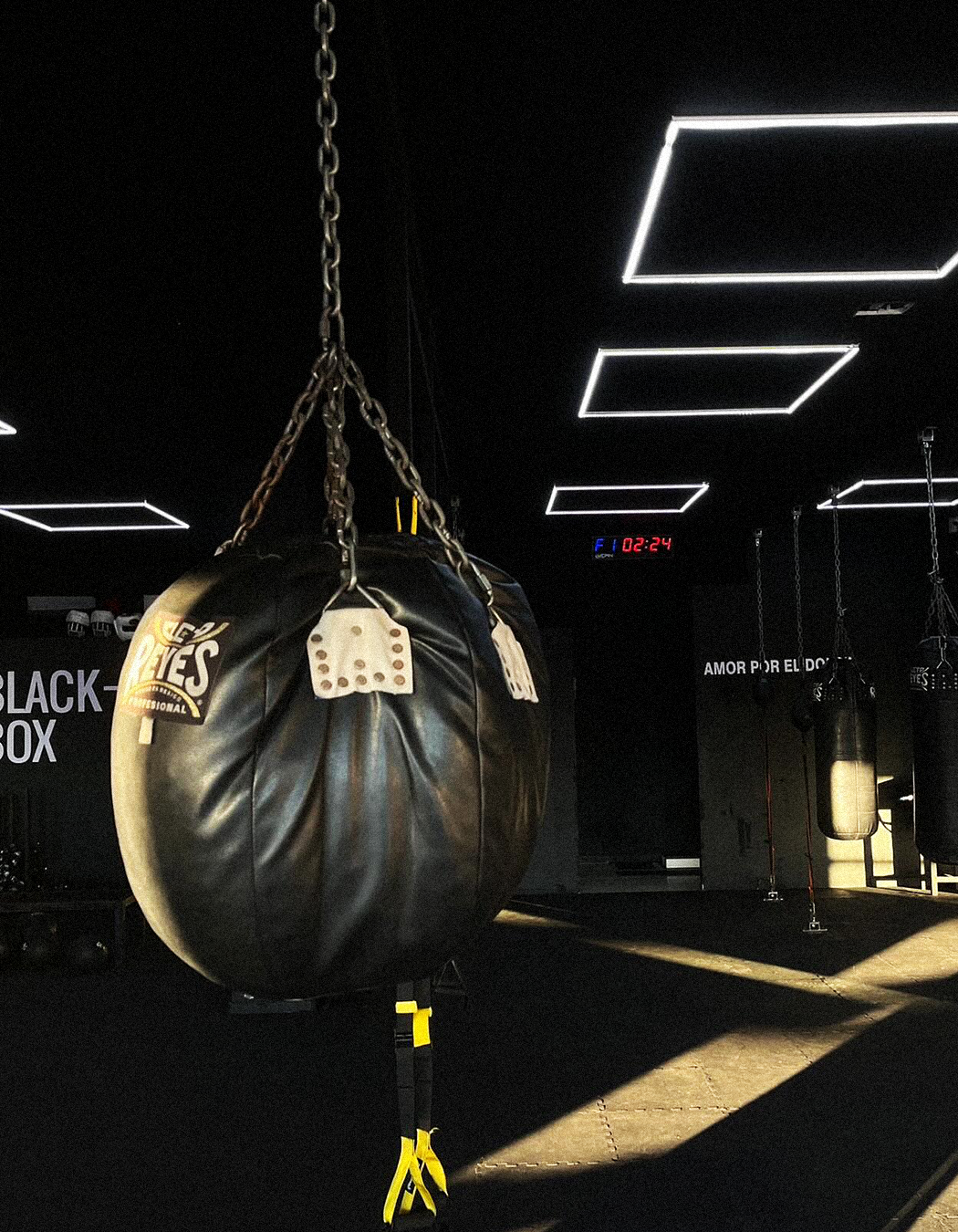 Black Box
