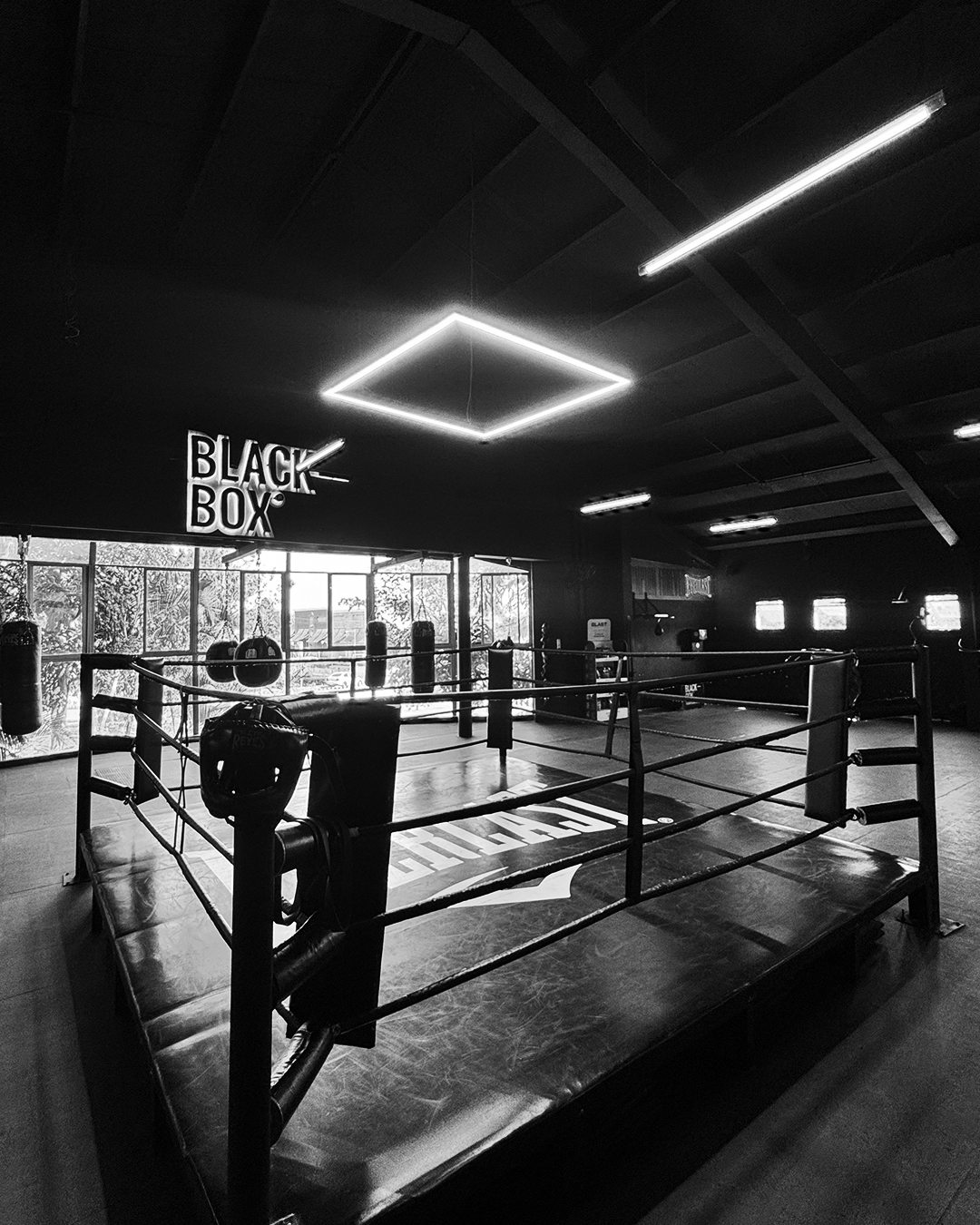 Black Box