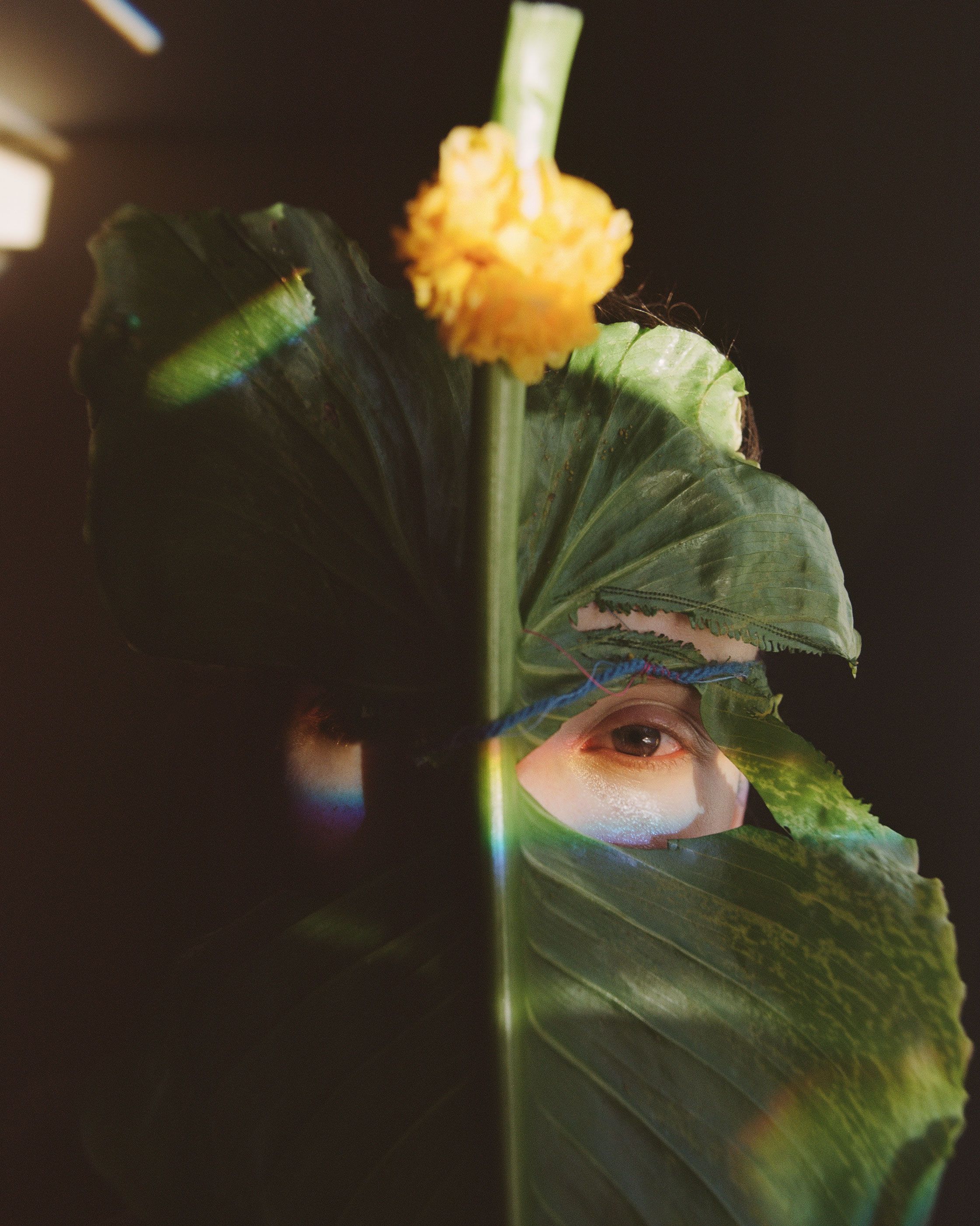 face, beauty, flowers, Bex Day, photographer, female photographer