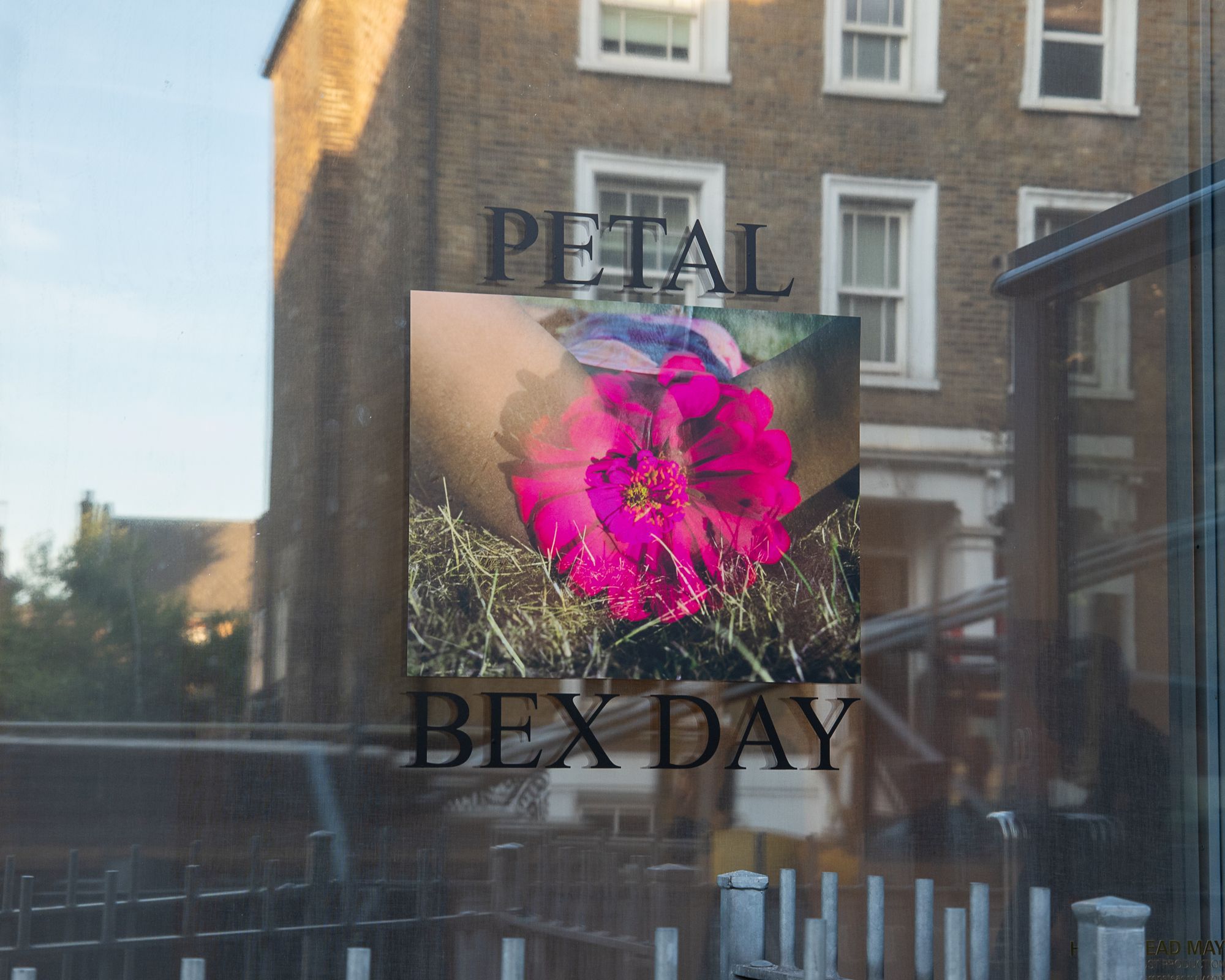 'PETAL' Book and Exhibition Image 3