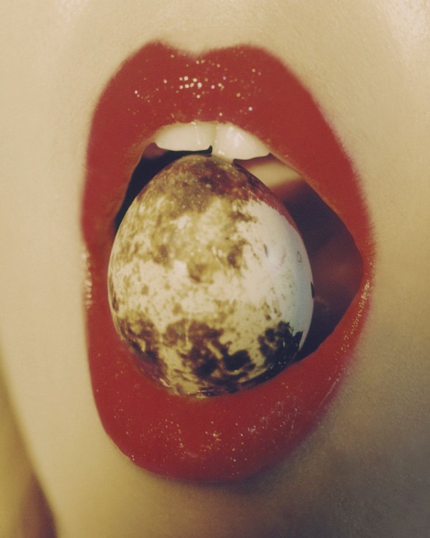 quail egg, beauty, bex day
