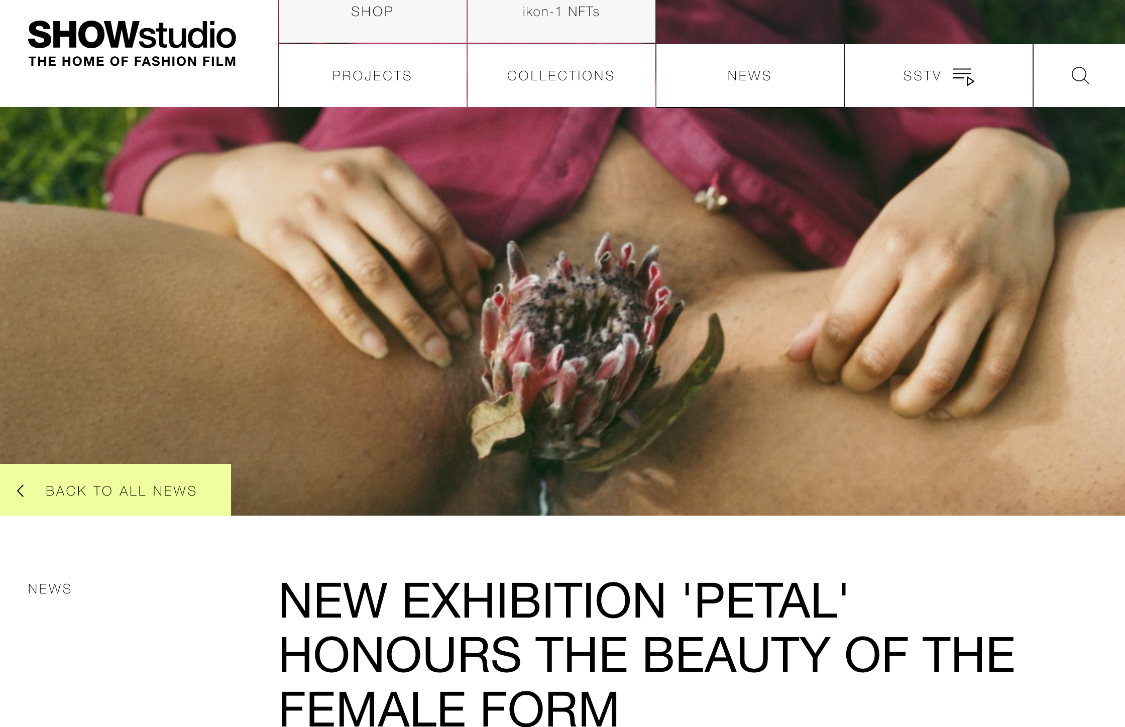 i-D, Bex Day, photographer, london, exhibition, petal