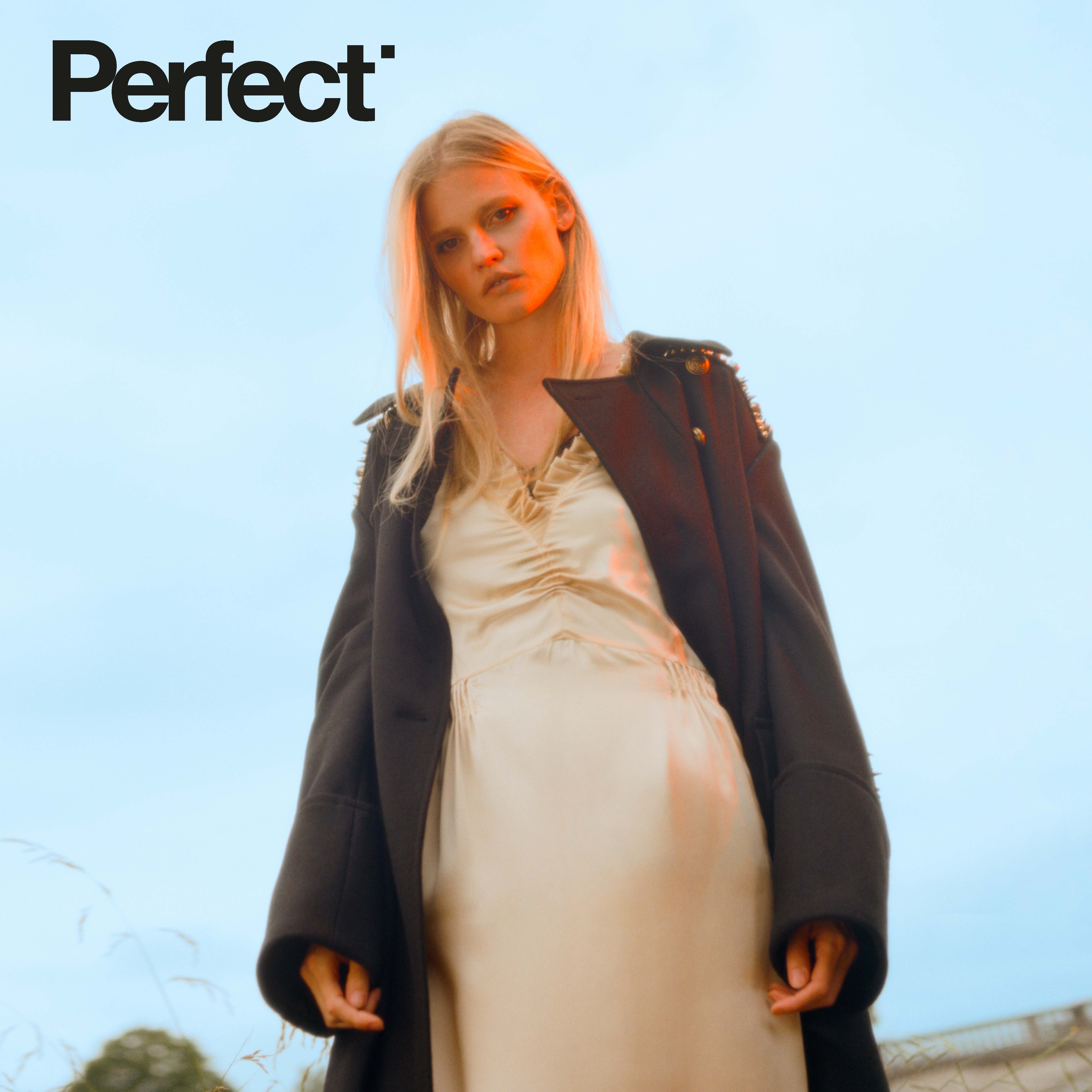 Perfect Cover by BEX DAY, Lara Stone, Perfect Magazine