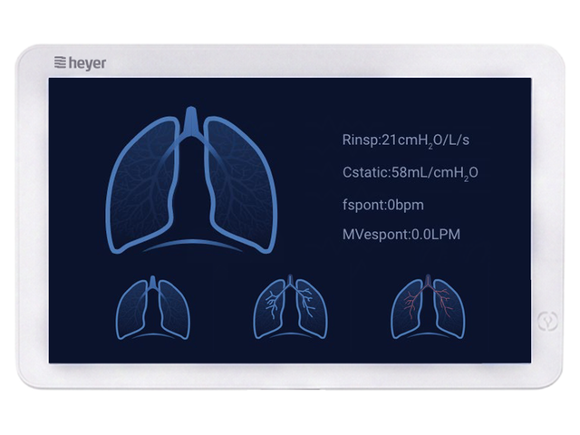 Lung status in sight