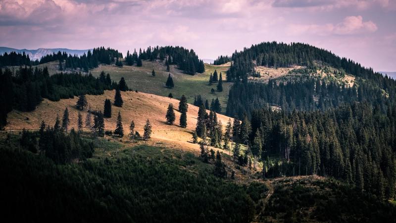 The limestone ridge of Piatra Craiului rising above the Carpathian foothills