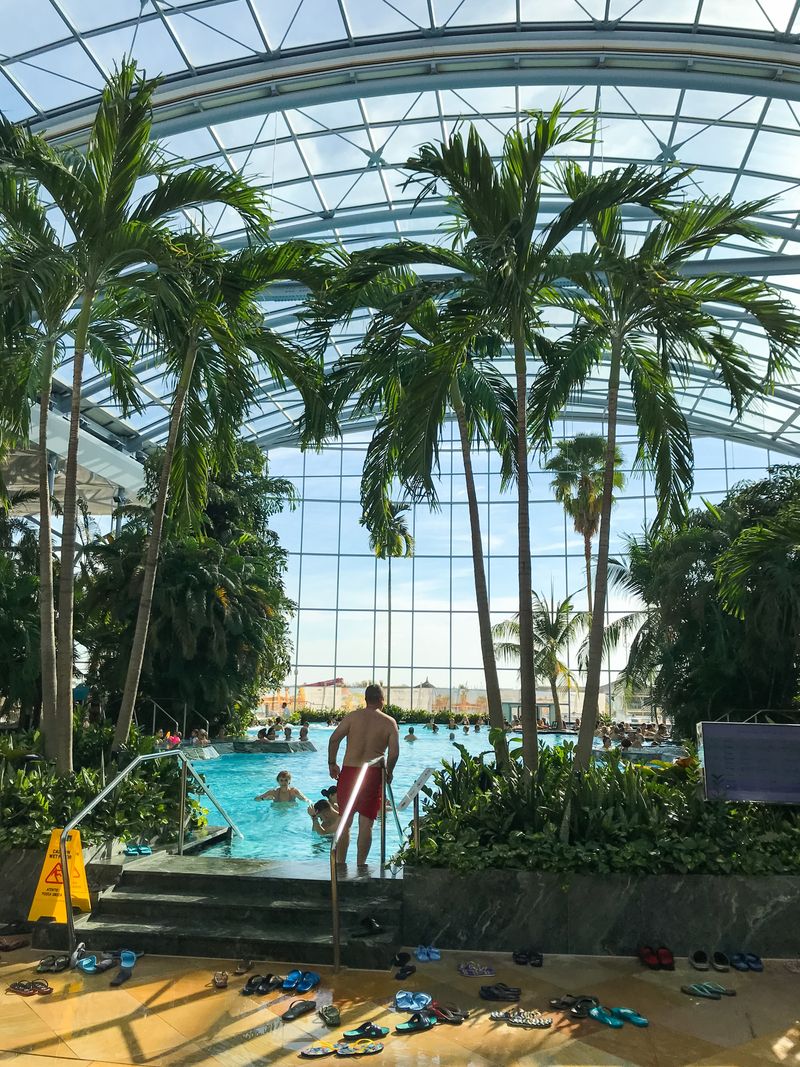 Palm trees inside the glass-domed pool hall at Therme Bucharest