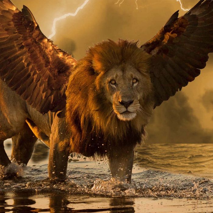 Bible Prophecy