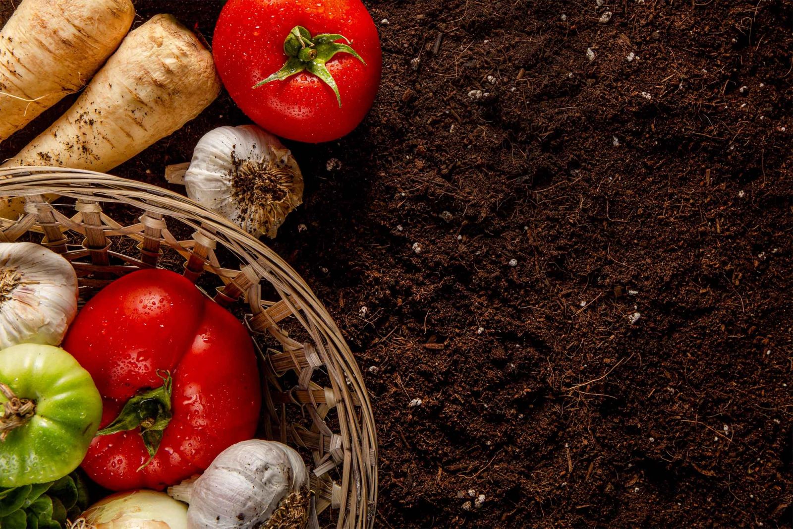 Fresh vegetables in a basket on dark soil