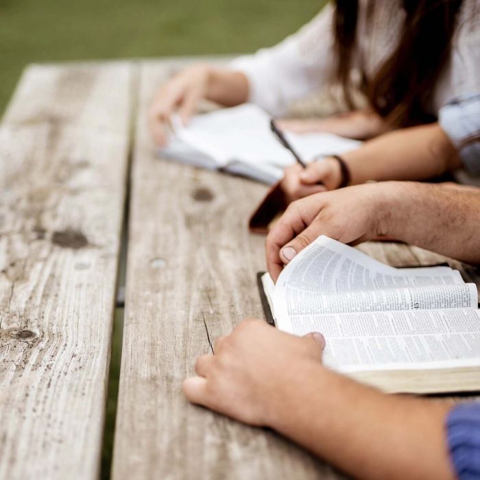 Bible Studies