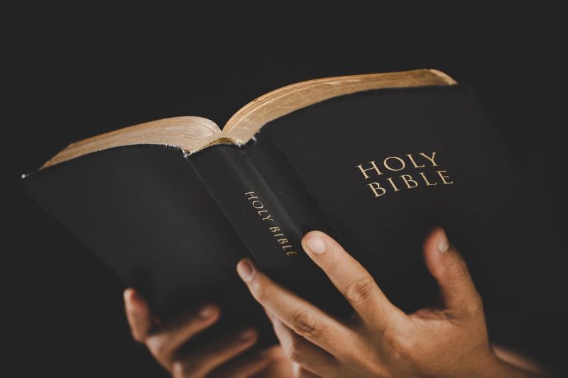 Hands holding an open Bible