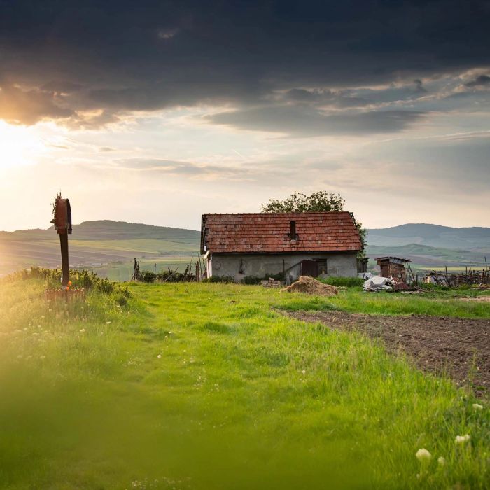 Country Living