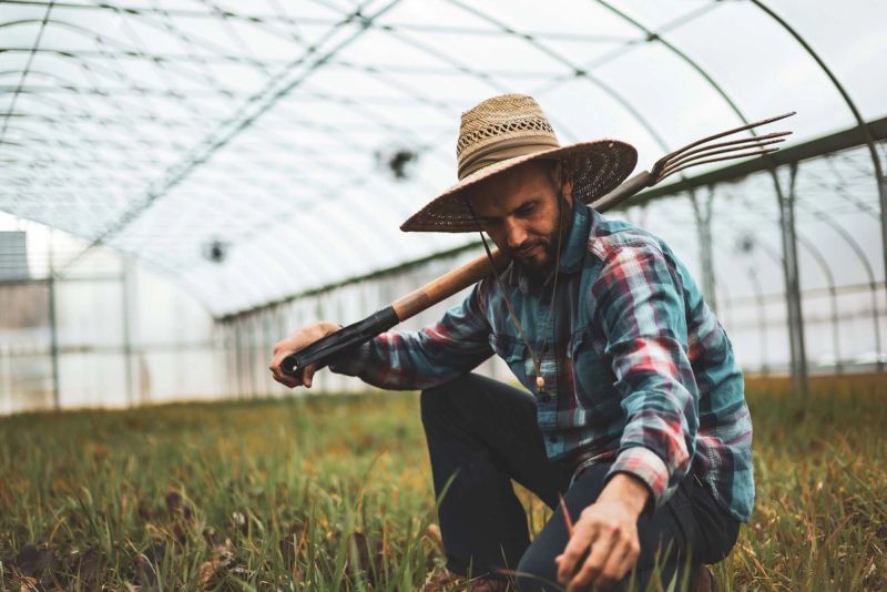 A farmer with a pitchfork tending plants in a greenhouse