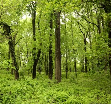 Falling Out of Love With You (6ths Cover)