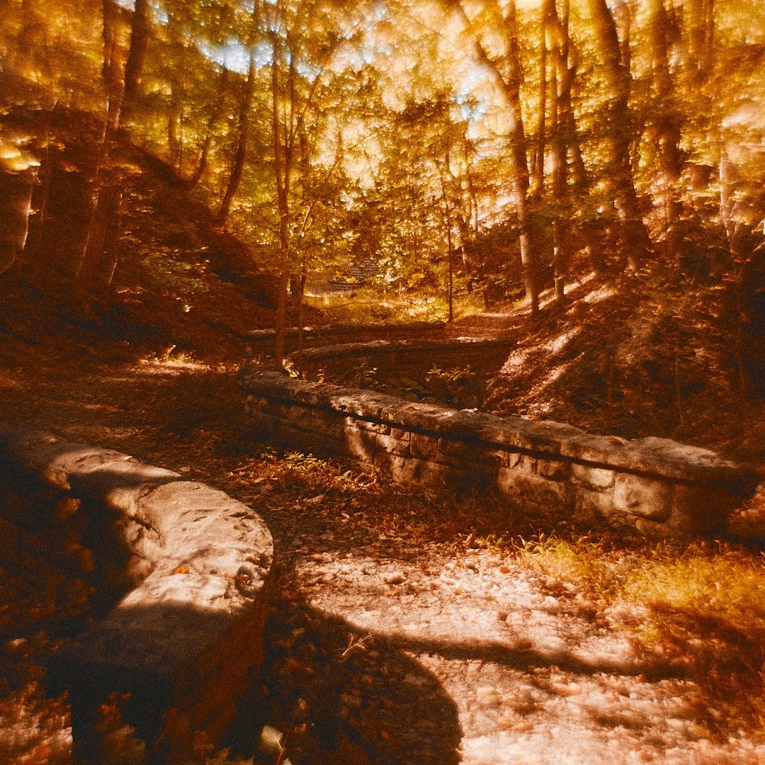Schenley Park Walk, photograph 12