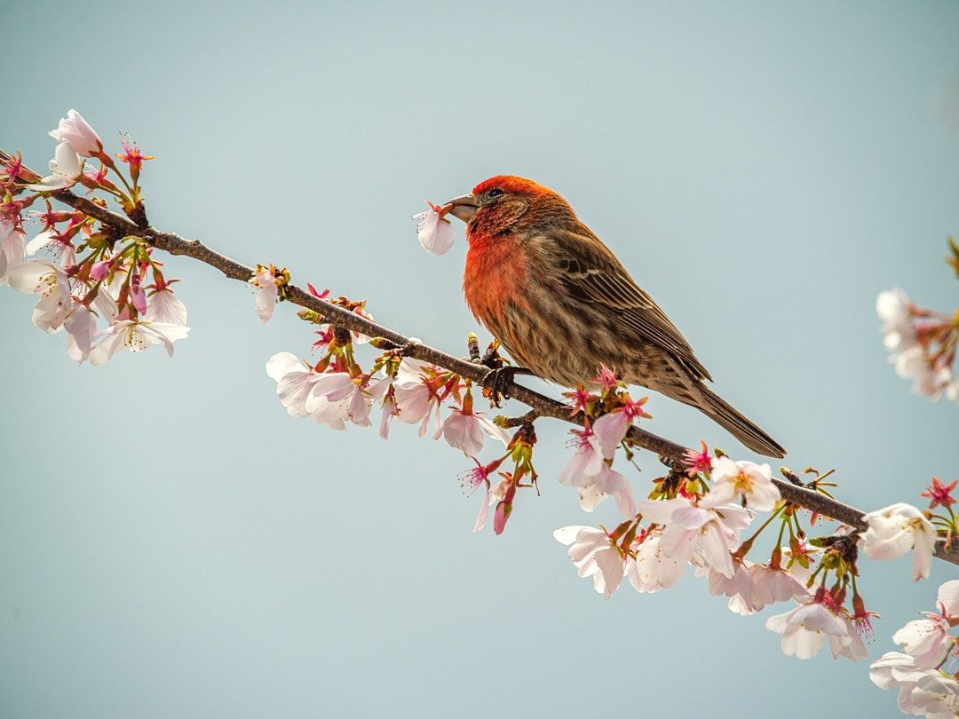 Wildlife, photograph 218