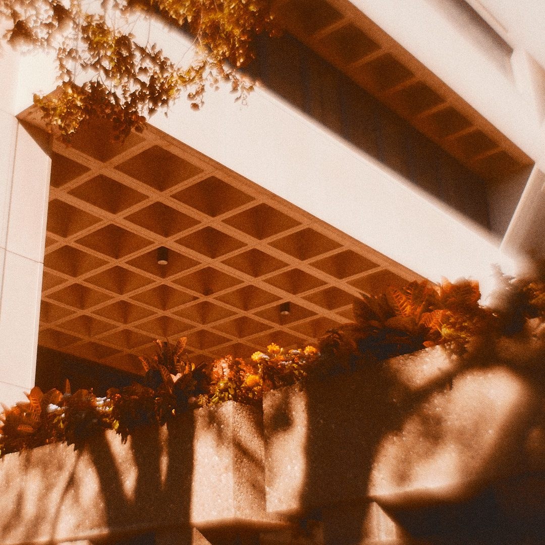 Schenley Park Walk, photograph 16