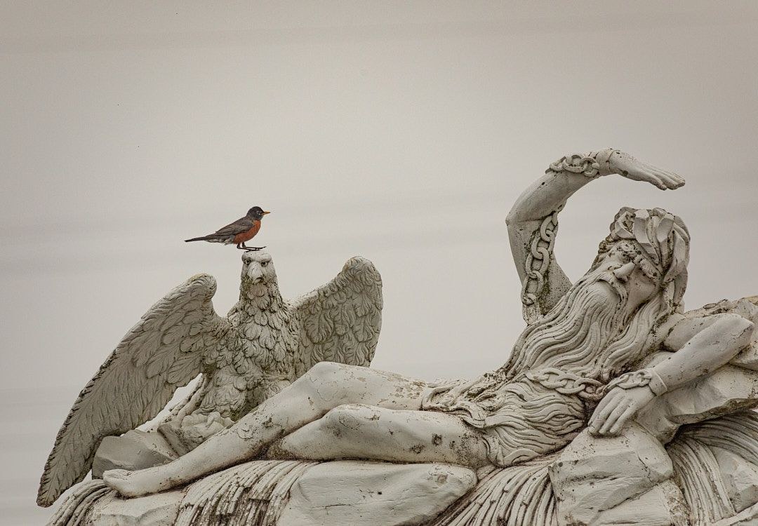 Wildlife, photograph 206